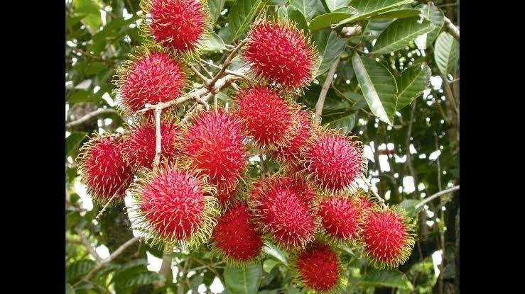 450869855_122157101204221778_7659546957038809862_n