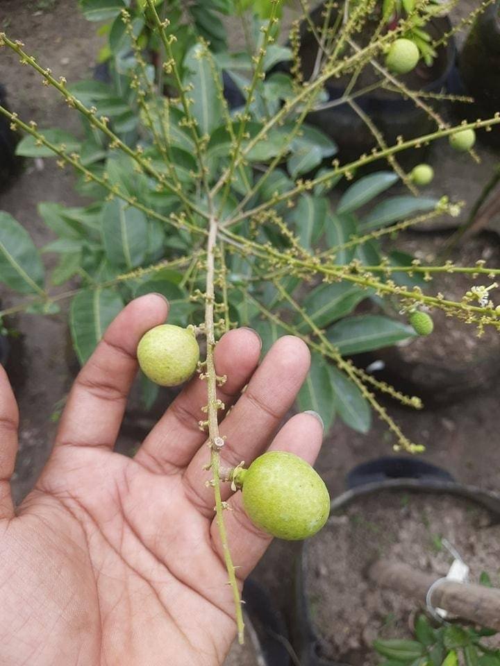 452044339_122158870514221778_6016229327922548674_n