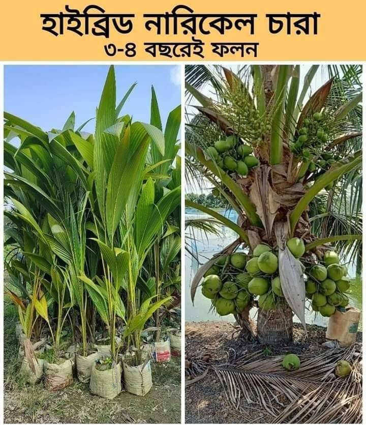 455718224_122166676448221778_7404630992260657956_n