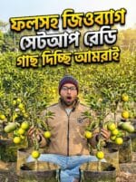 ফলসহ থাই জাম্বুরা জিও ব্যাগ