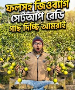 ফলসহ কুল বরই জিও ব্যাগ